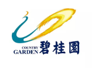 龙川碧桂园地产